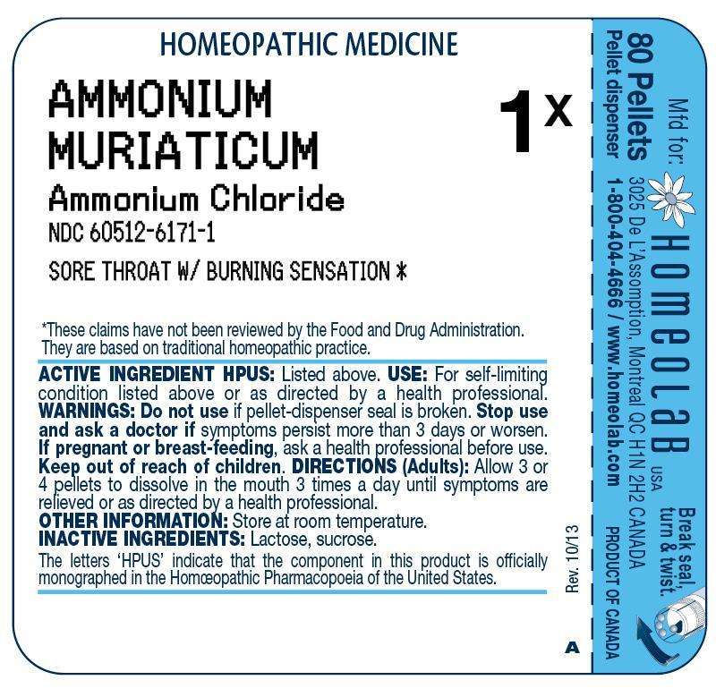 AMMONIUM MURIATICUM